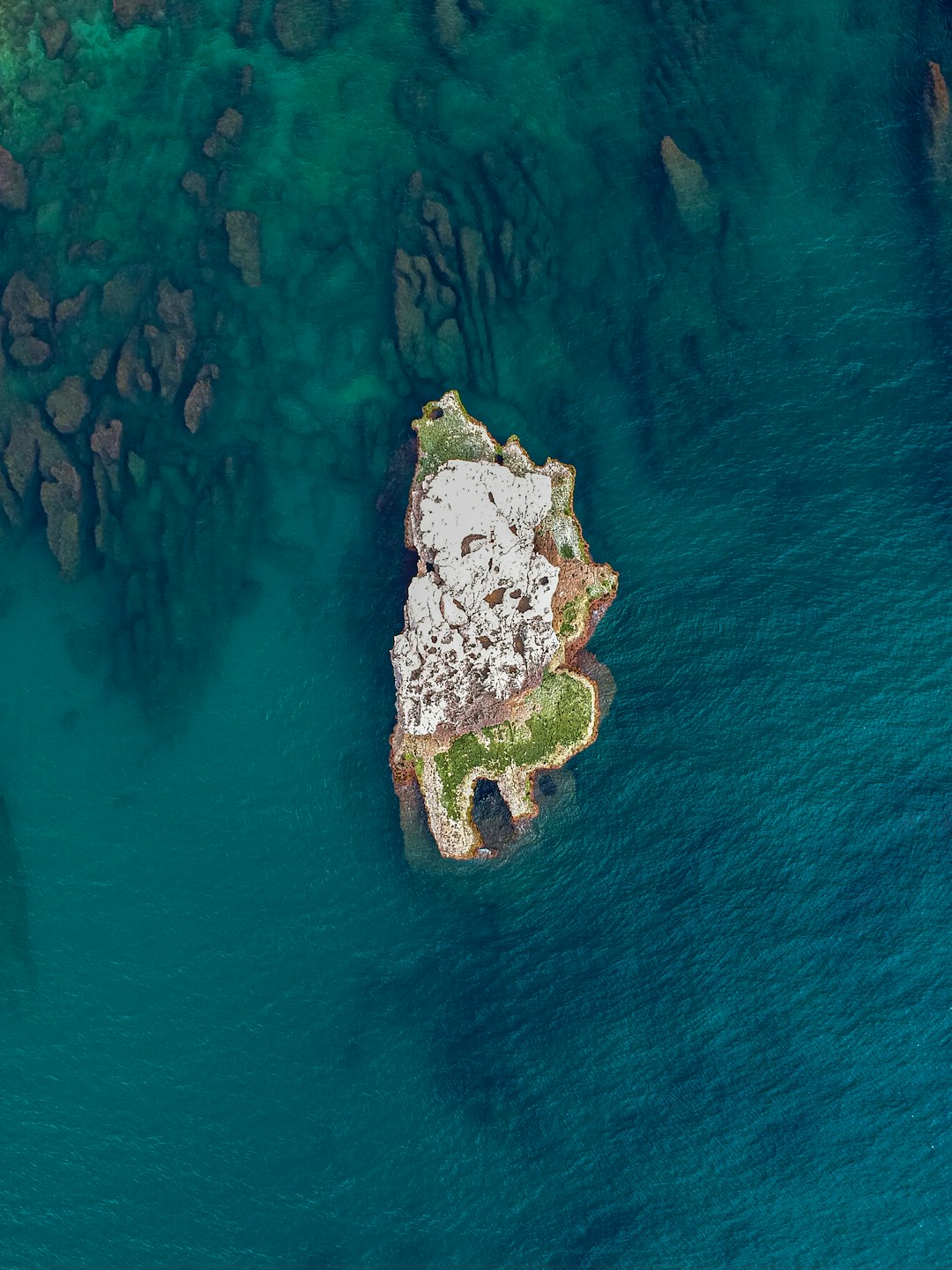 aerial view of green and brown island in the middle of blue sea