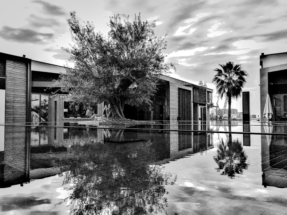 grayscale photo of house near trees