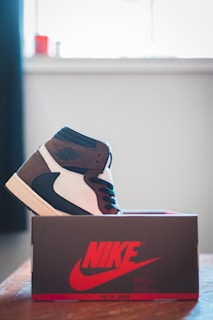 A stylish sneaker is placed on top of a Nike shoebox, featuring a combination of black, white, and brown tones with a high-top design. The setting includes a window in the background with diffused natural light.