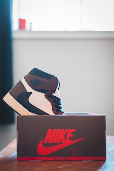 A stylish sneaker is placed on top of a Nike shoebox, featuring a combination of black, white, and brown tones with a high-top design. The setting includes a window in the background with diffused natural light.