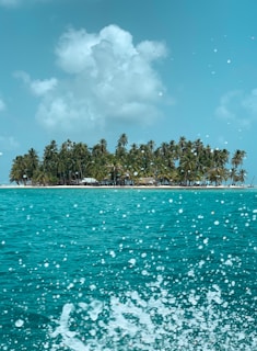 green palm trees on island during daytime