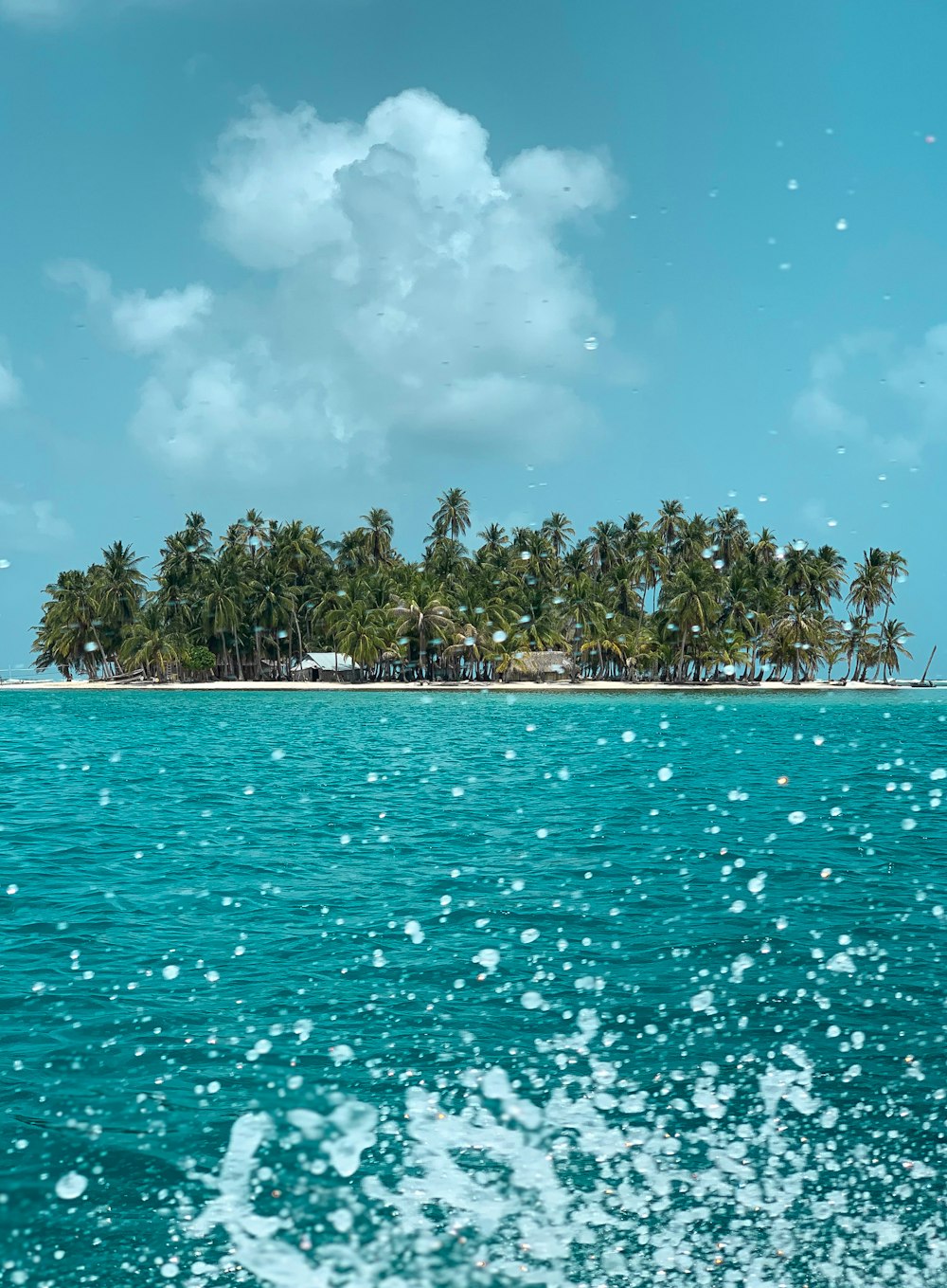 green palm trees on island during daytime