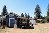 A small blue-grey shed with a white door is situated in an open area with dry, yellowed grass. There is a transparent greenhouse structure behind the shed, and several large, tall evergreen trees in the background. Various gardening tools and equipment are scattered around the shed, and neighboring houses are partially visible behind a wooden fence.