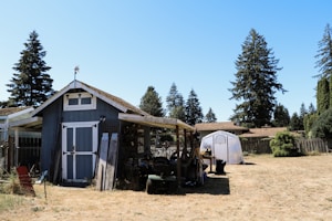A small blue-grey shed with a white door is situated in an open area with dry, yellowed grass. There is a transparent greenhouse structure behind the shed, and several large, tall evergreen trees in the background. Various gardening tools and equipment are scattered around the shed, and neighboring houses are partially visible behind a wooden fence.