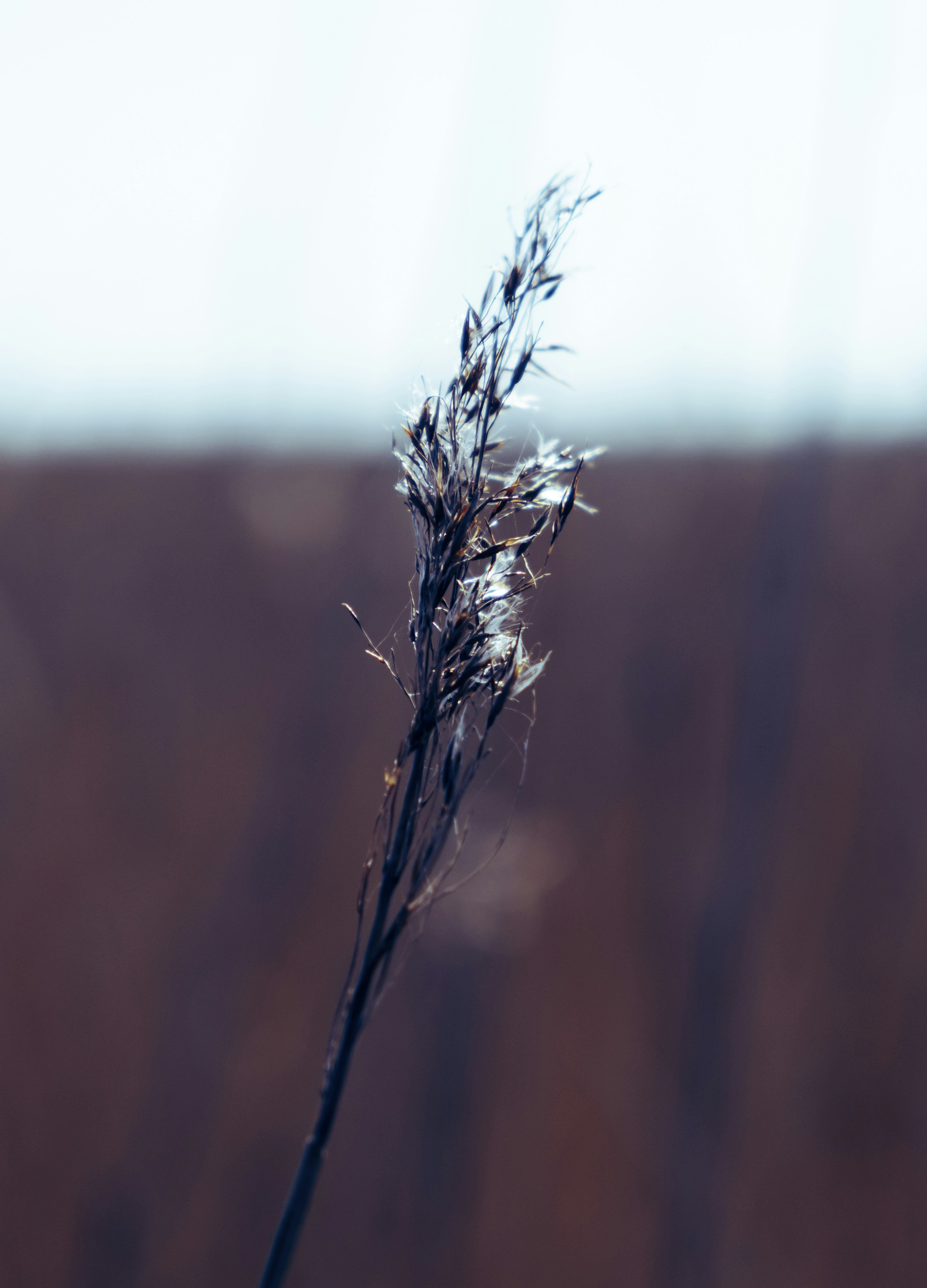 Photo by sandermathlener