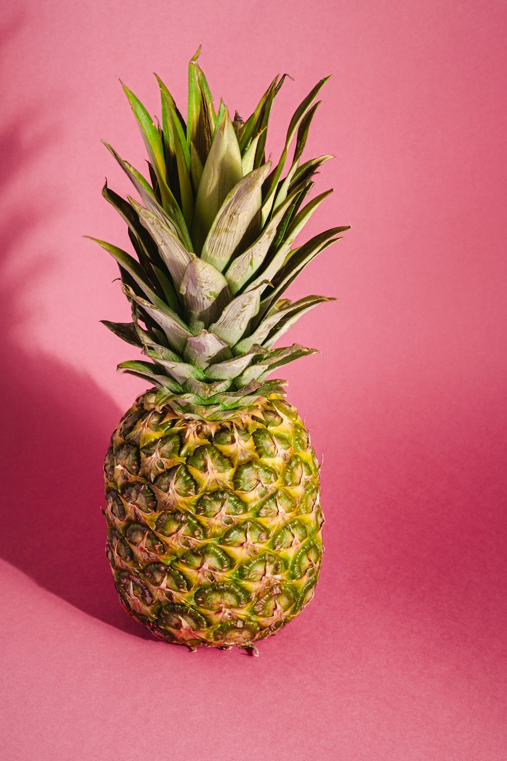 frutto dell'ananas su tessuto rosa