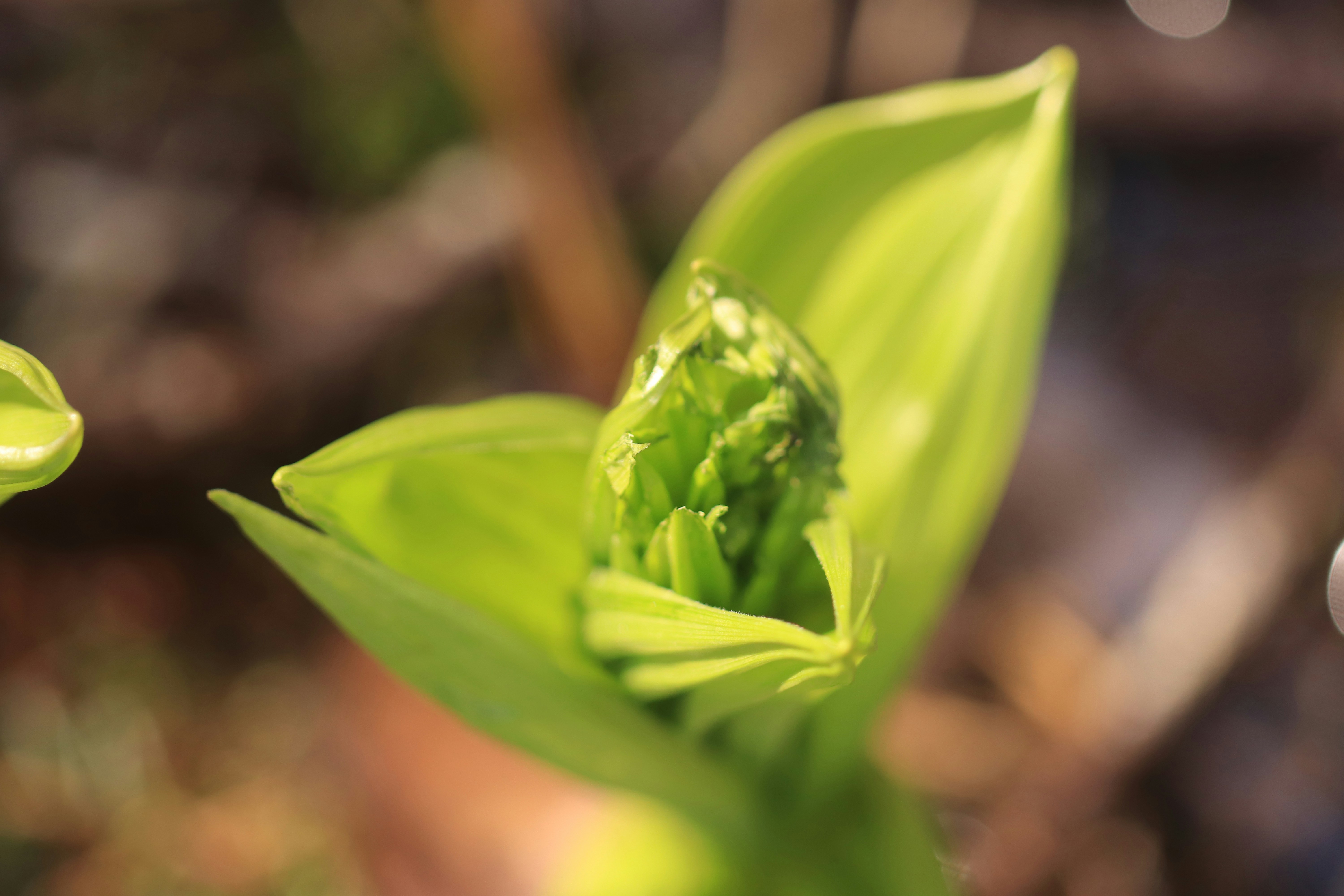 Photo by superdogsocial