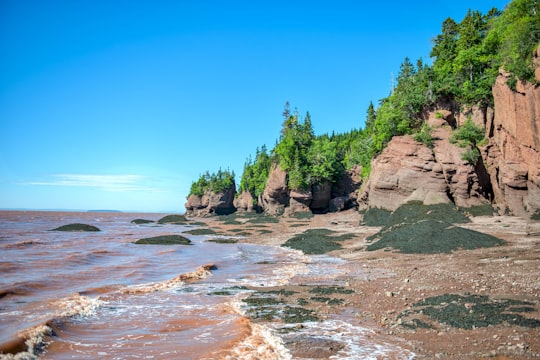 Hopewell Rocks Park things to do in Joggins