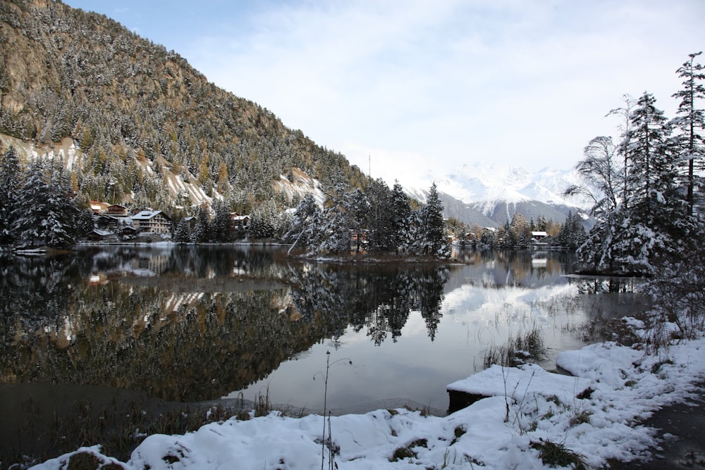 body of water near trees and mountain during daytime