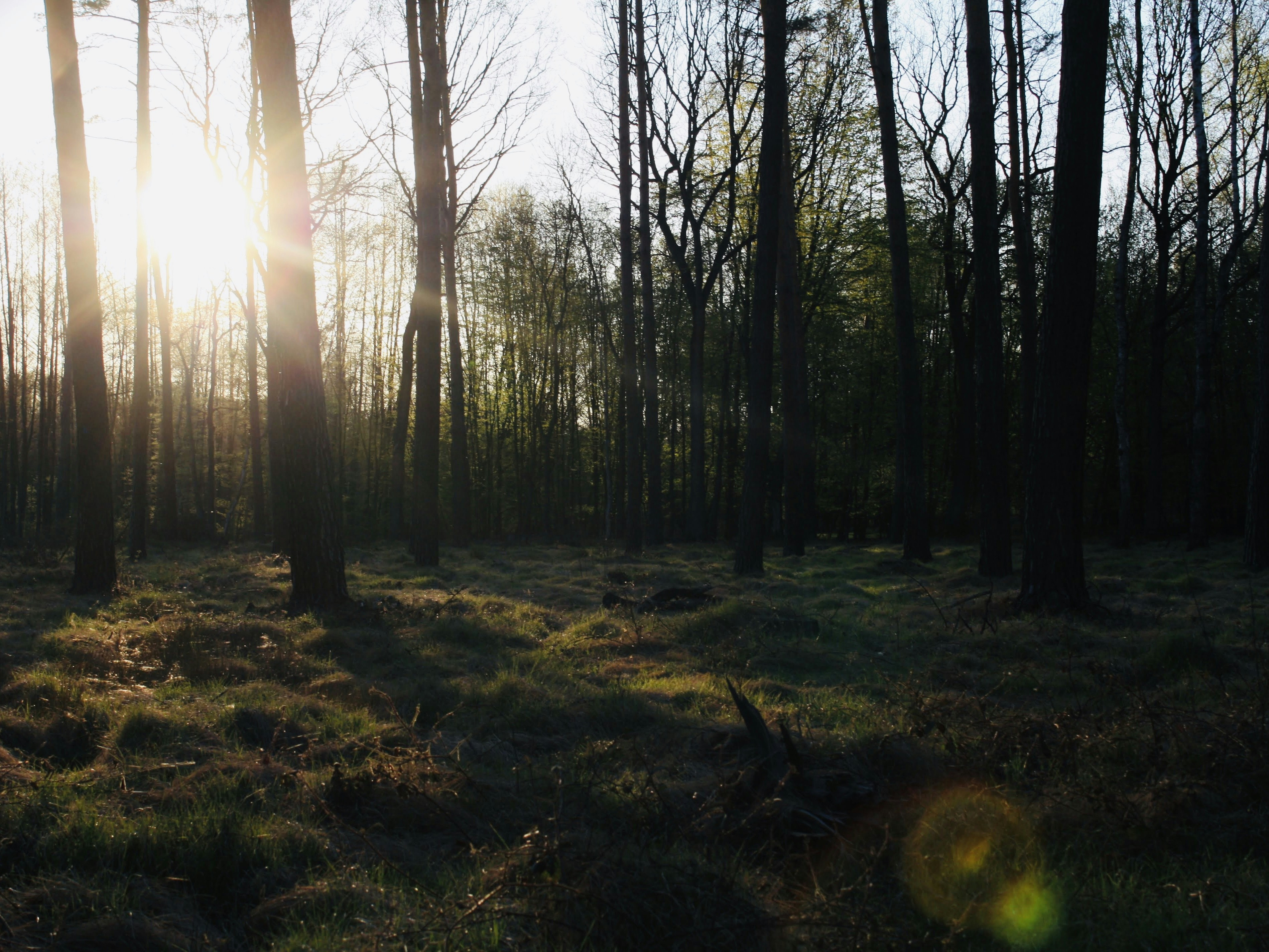 Photo by domnikadela