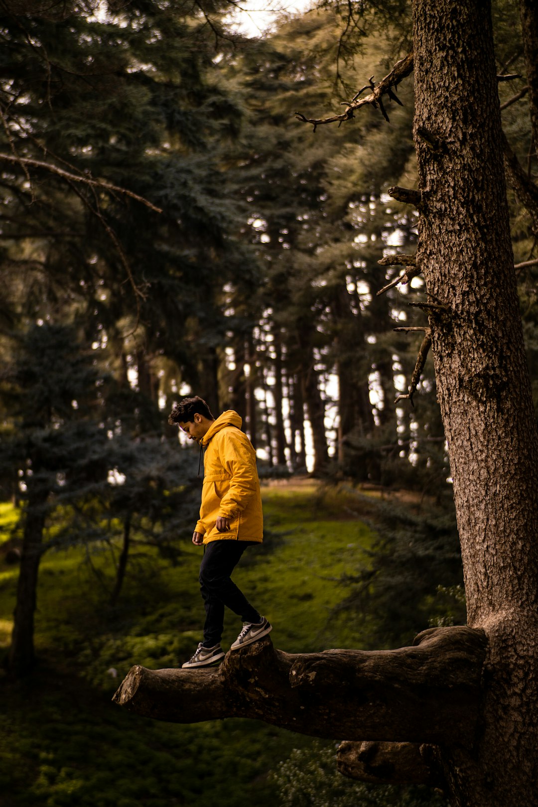man in yellow hoodie and black pants standing on brown tree log during daytime