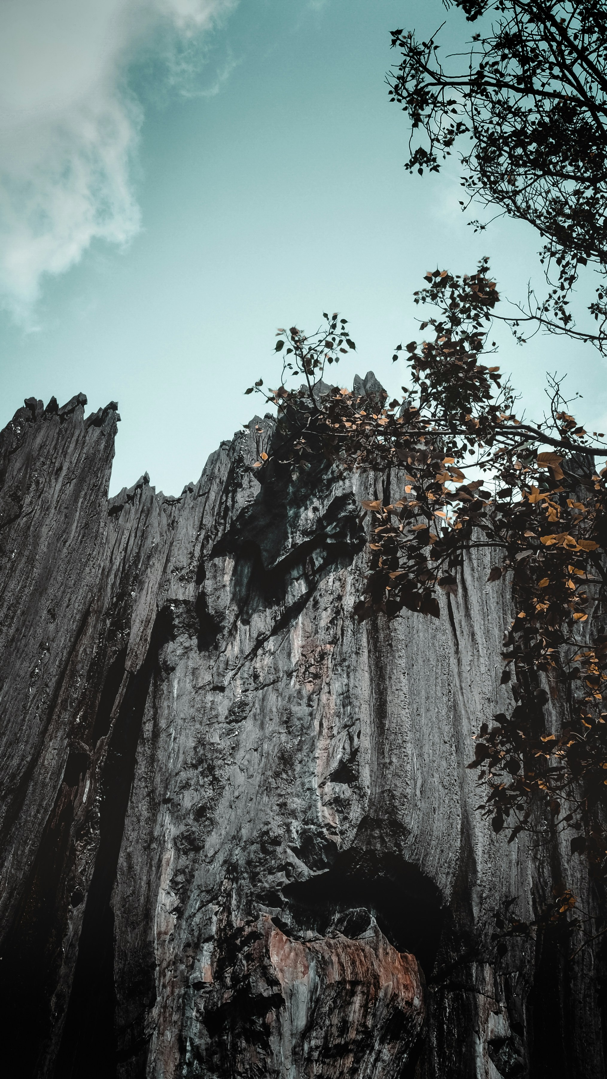 Photo by thefinalshot