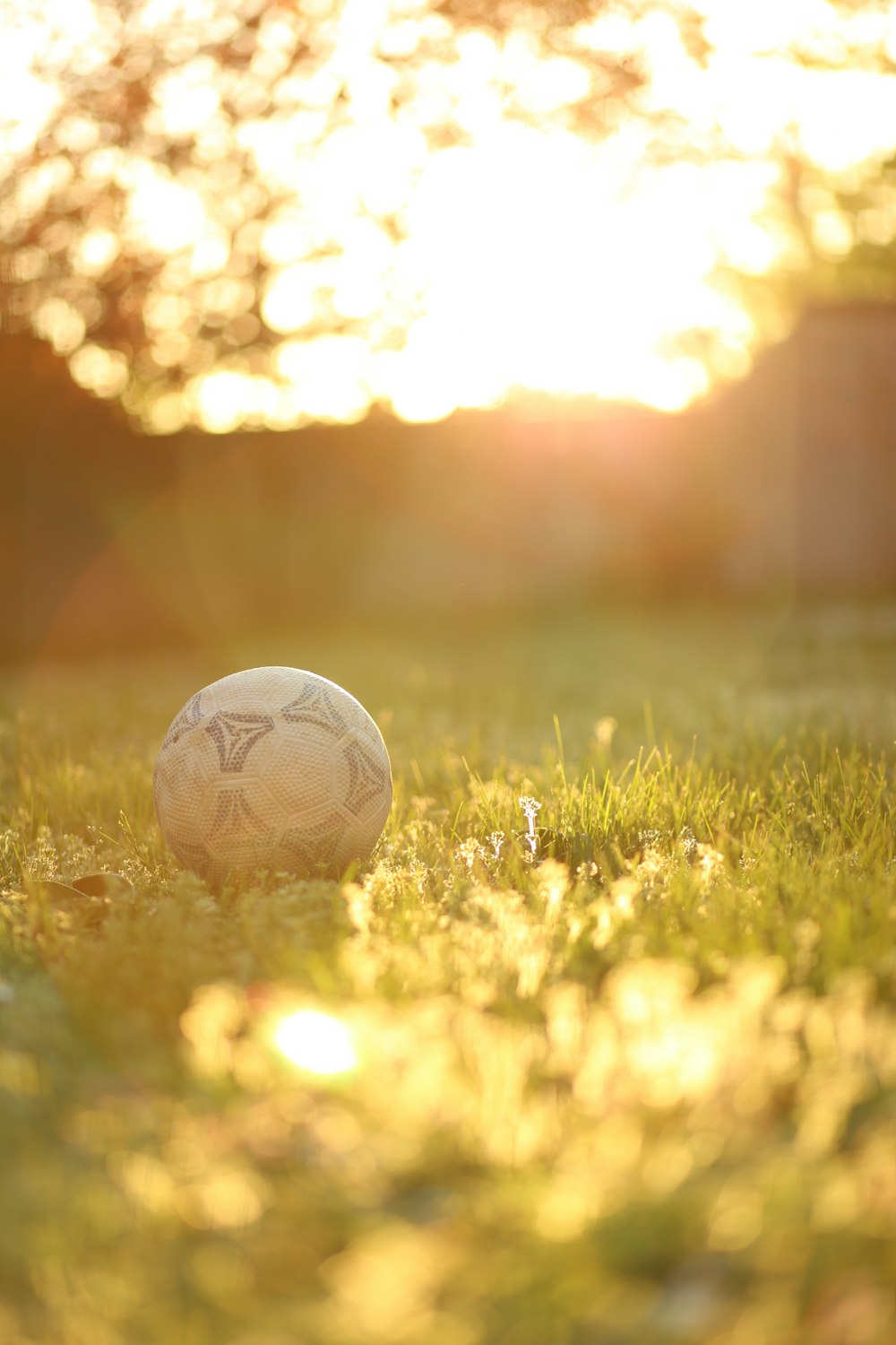 white soccer ball on green grass field during daytime