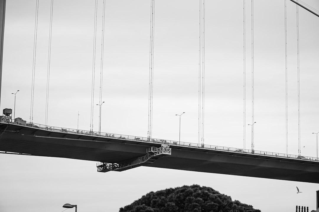 grayscale photo of bridge over river