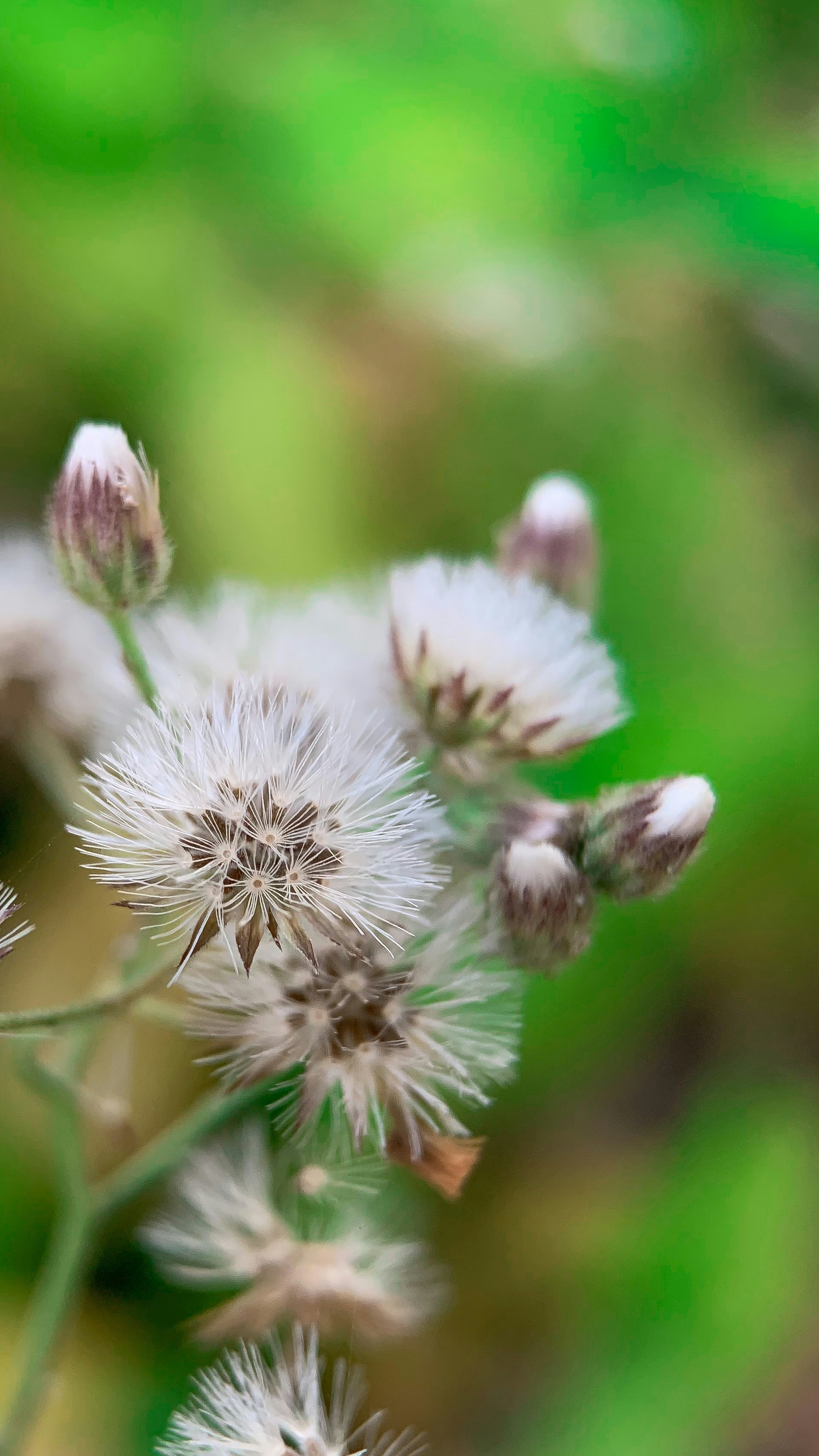 Photo by rainmaker_jz