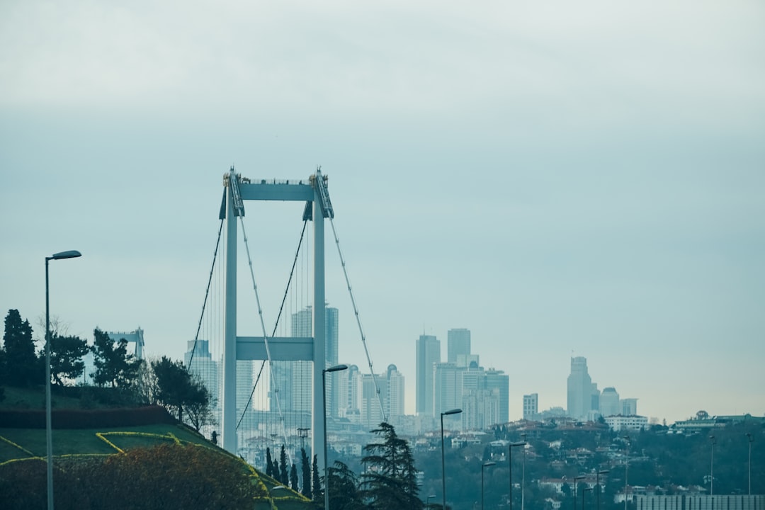 gray bridge over city buildings during daytime