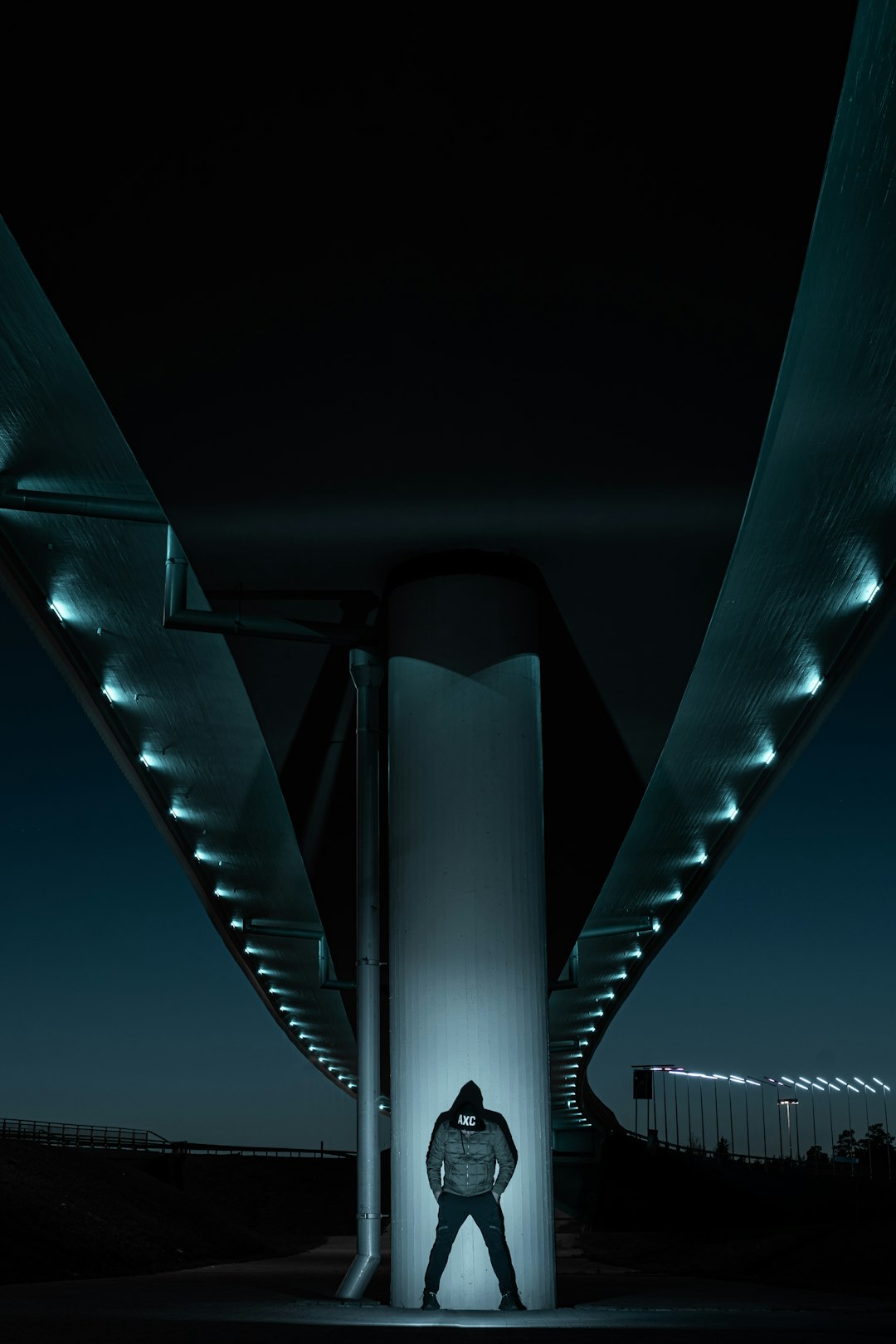 grayscale photo of a bridge