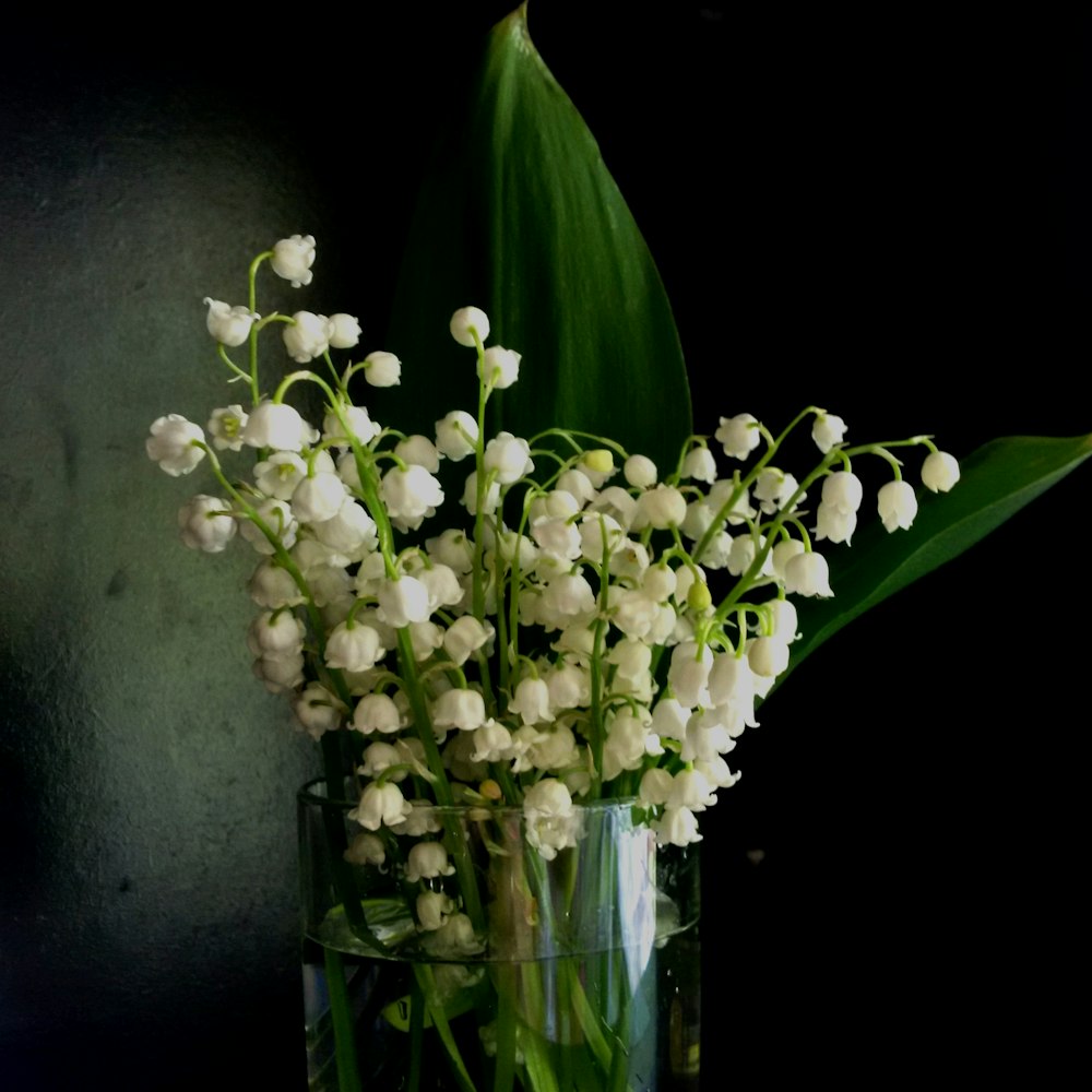 white flowers in clear glass vase