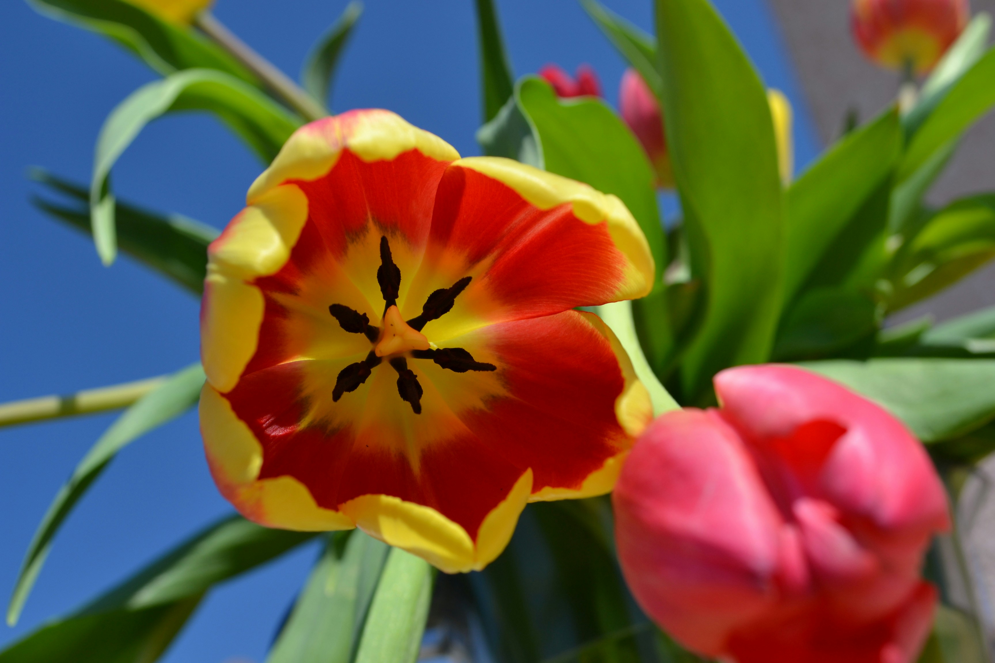 Photo by manuel_joins