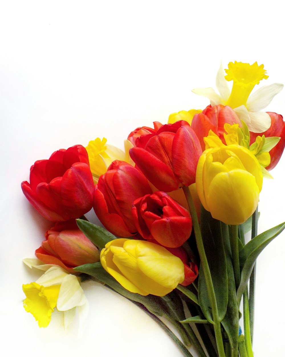 yellow and red tulips in white vase