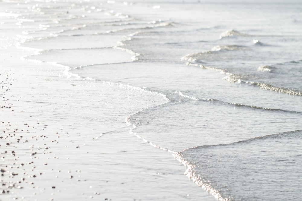 Les vagues de l’océan s’écrasent sur le rivage pendant la journée