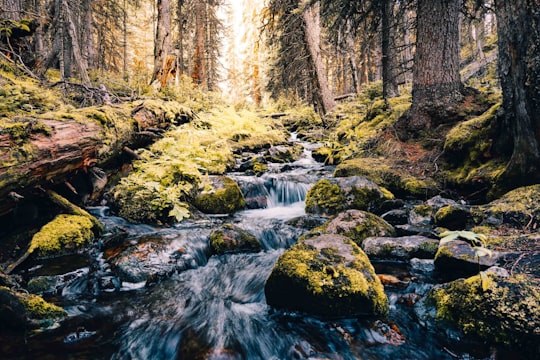 water falls in the middle of brown rocks in Lake O'Hara Canada