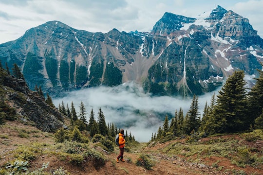 photo of Lake Louise Nature reserve near Mount Schaffer