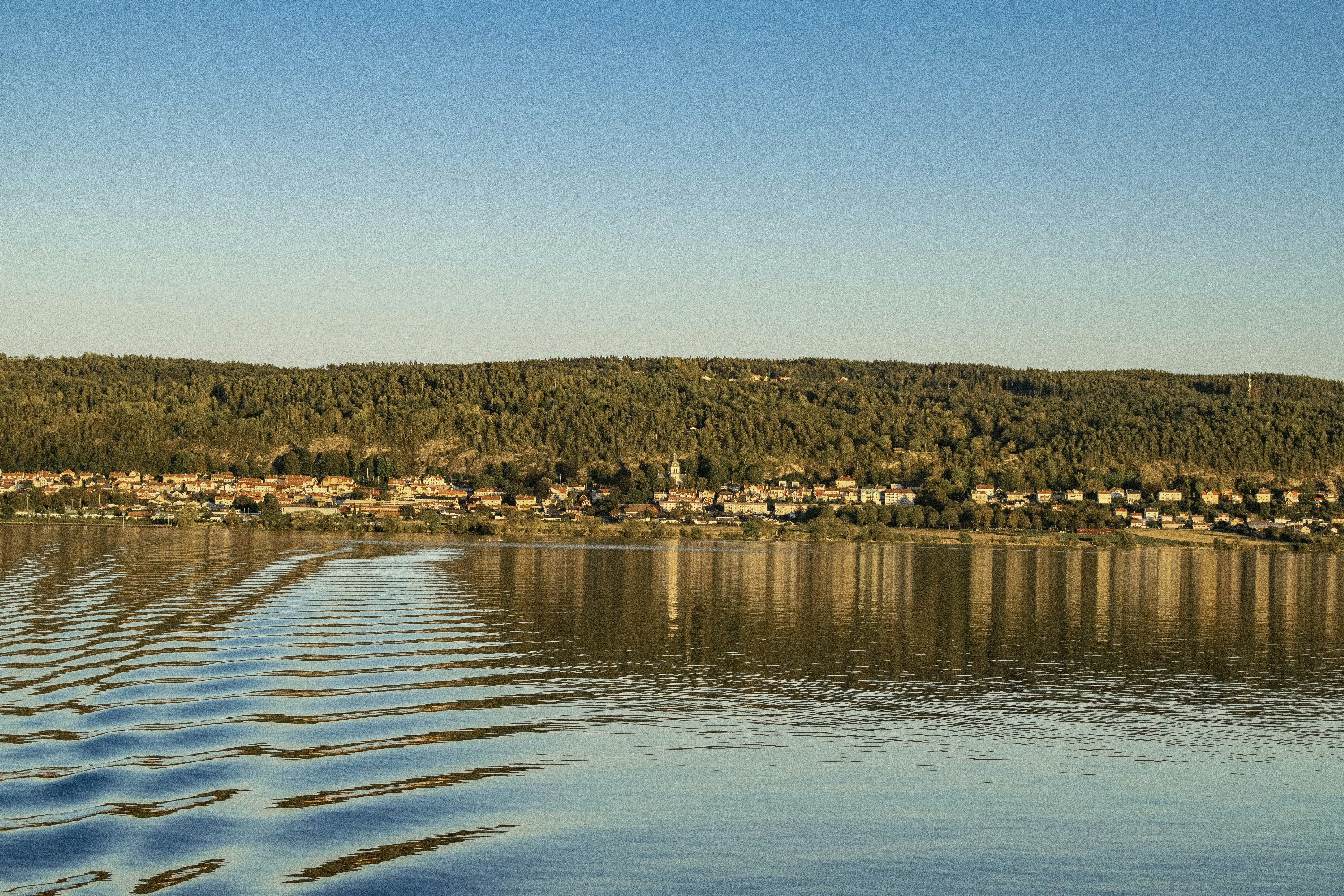 Photo by jessedebacker