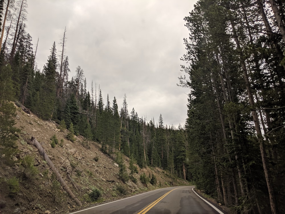 gray asphalt road between green trees under white cloudy sky during daytime