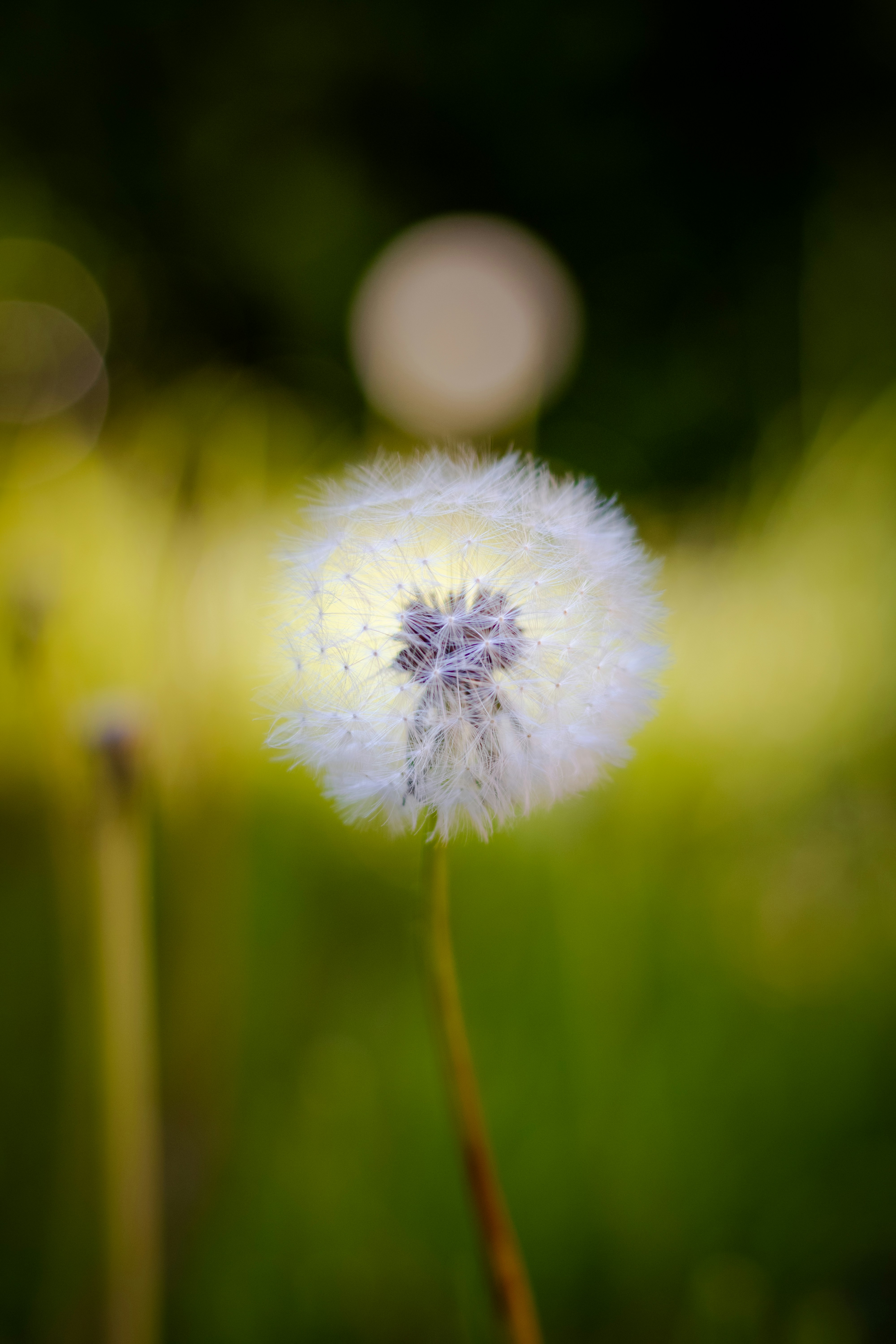 Photo by mauro_bueso