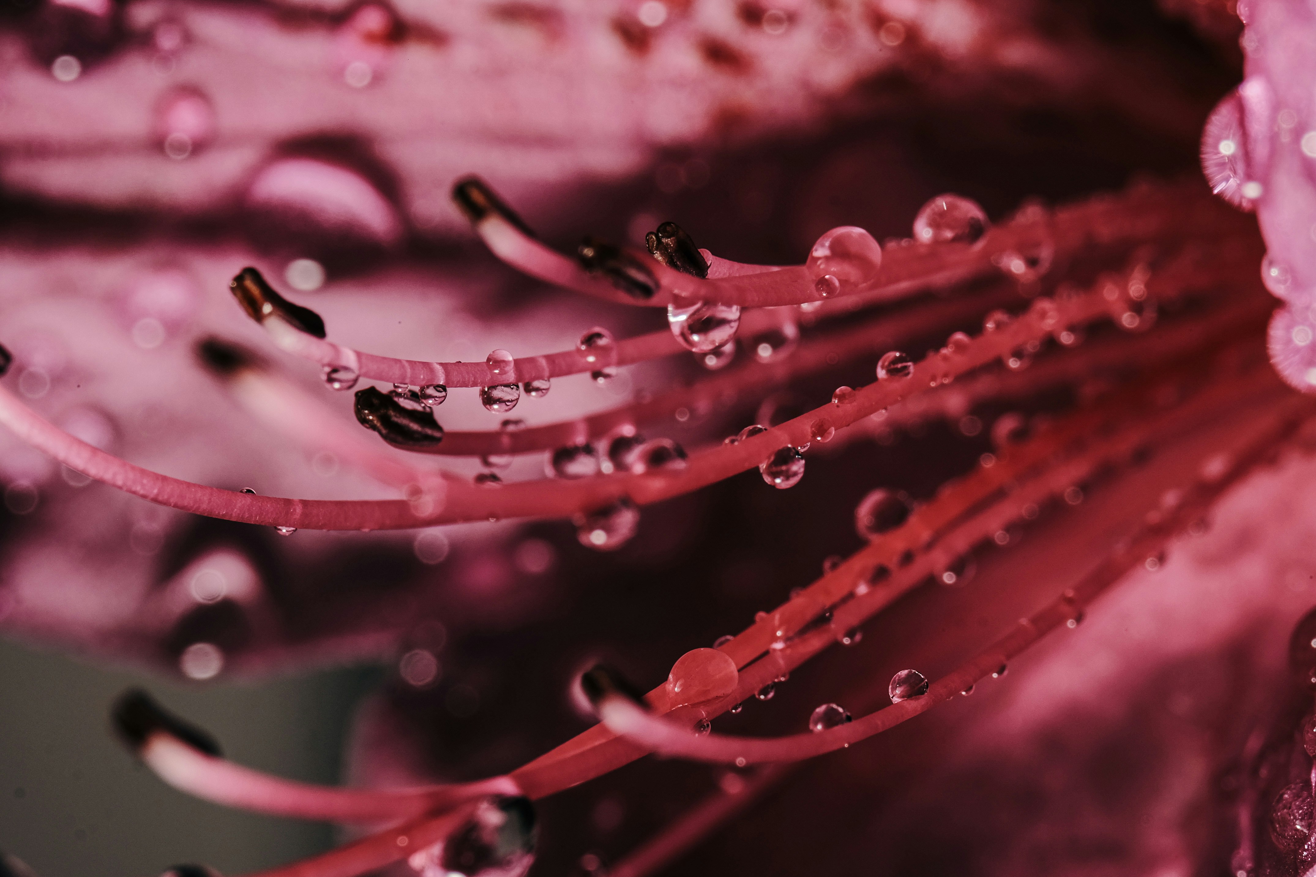 Photo by insungpandora