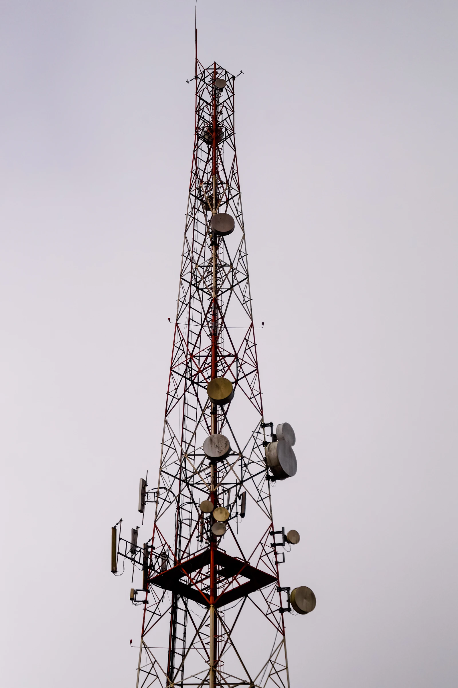 Telecommunications tower and technician