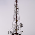 orange and white tower crane