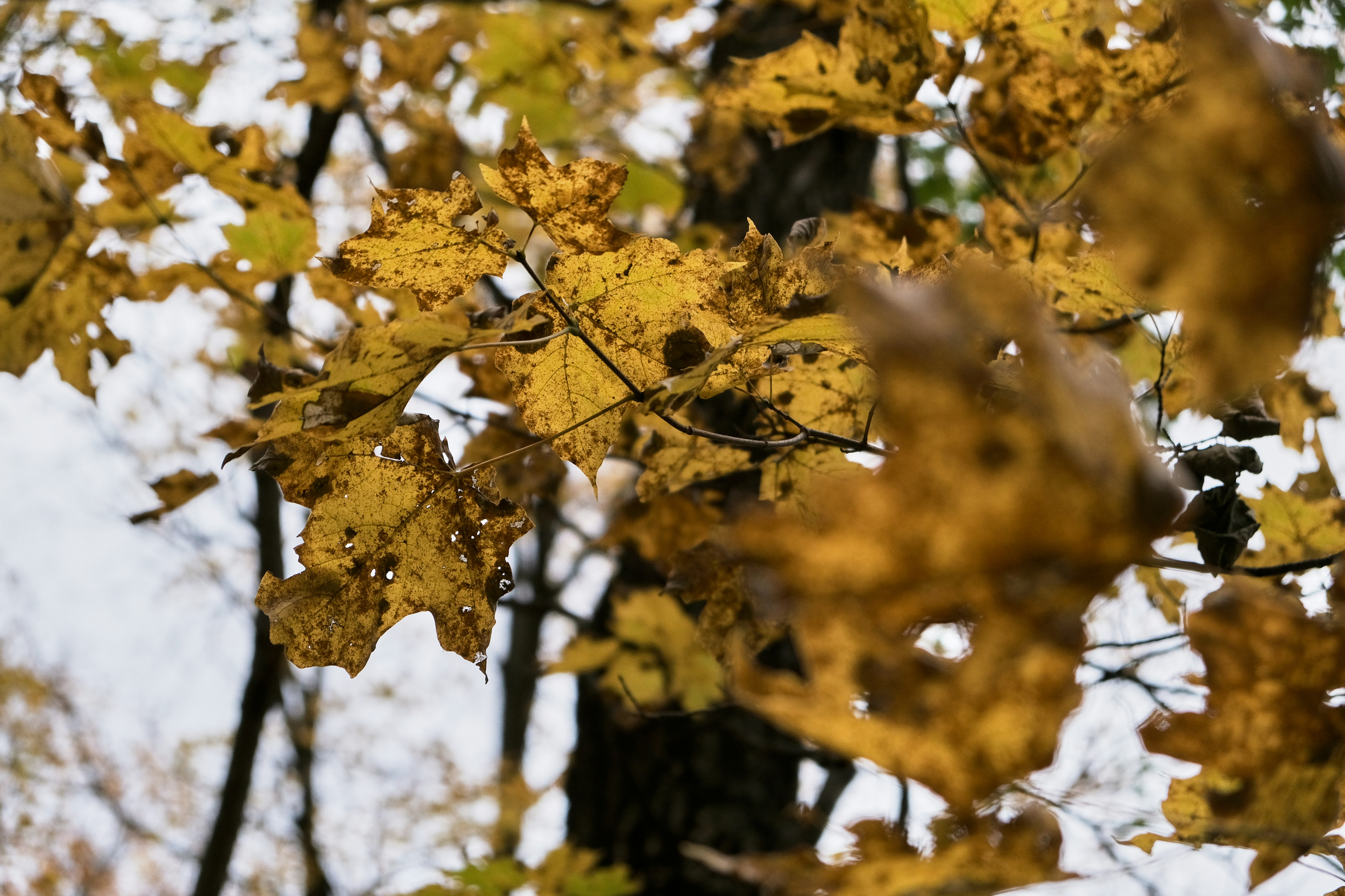 Photo by willis_stout