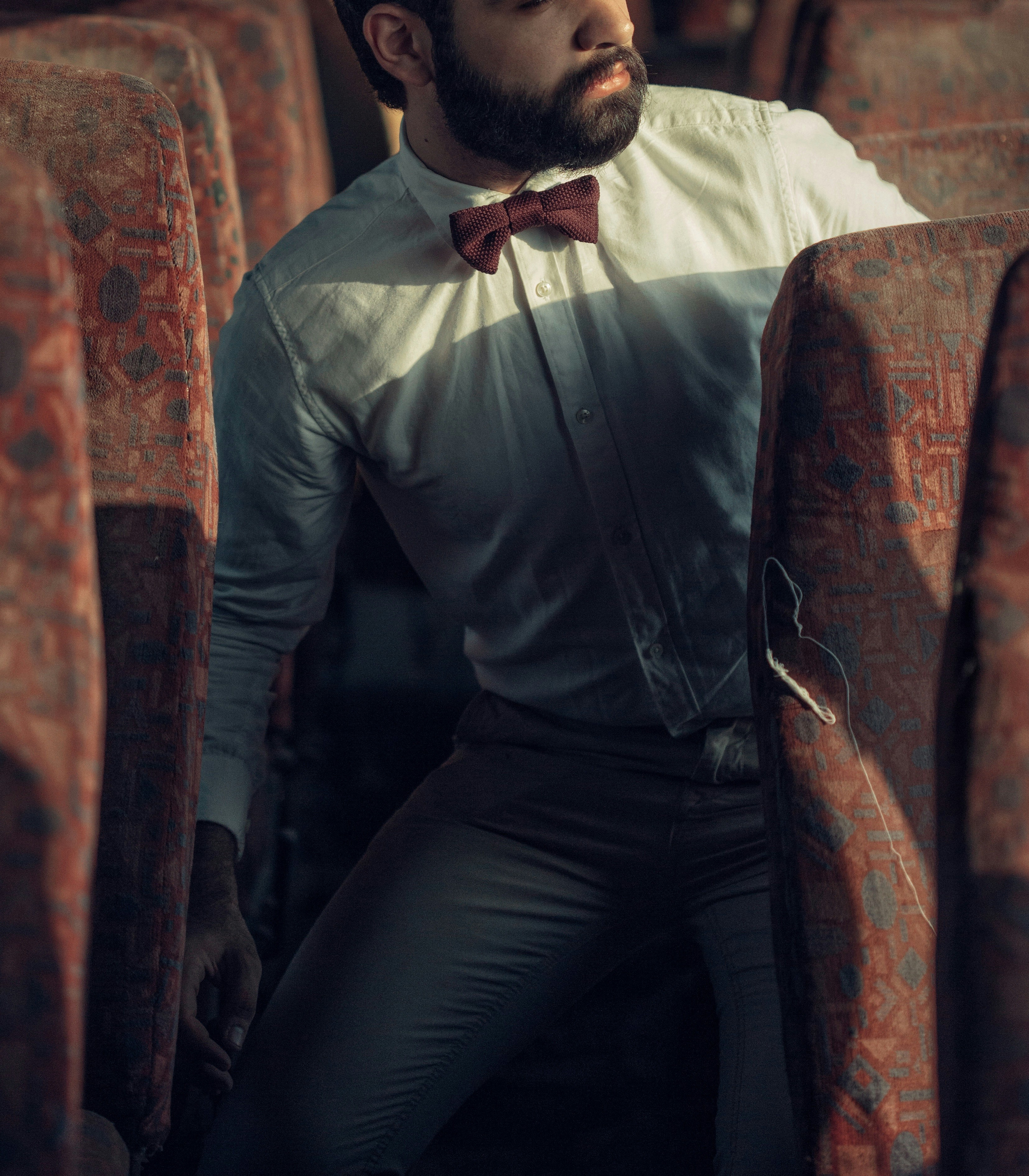 Close up of a perfectly trimmed beard.