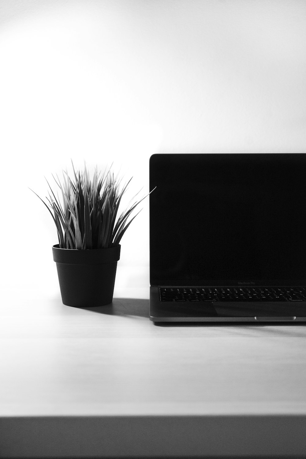 black laptop computer beside green plant on white table