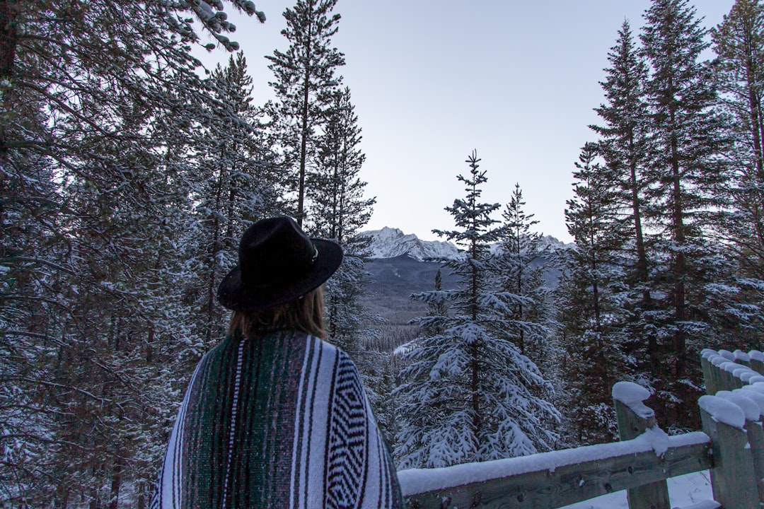 Forest photo spot Lake Louise Town Of Banff