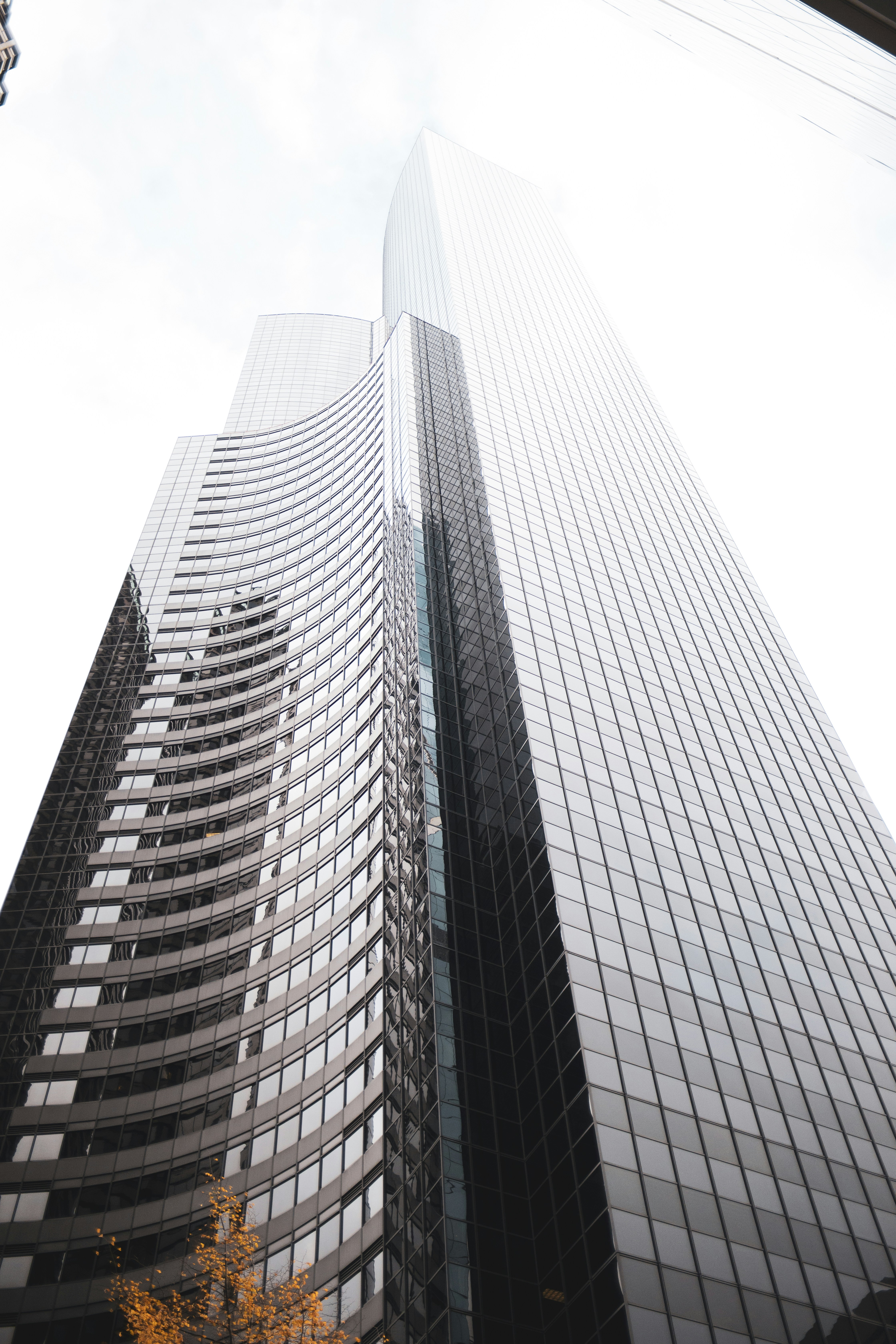 Photo by duncan_shaffer