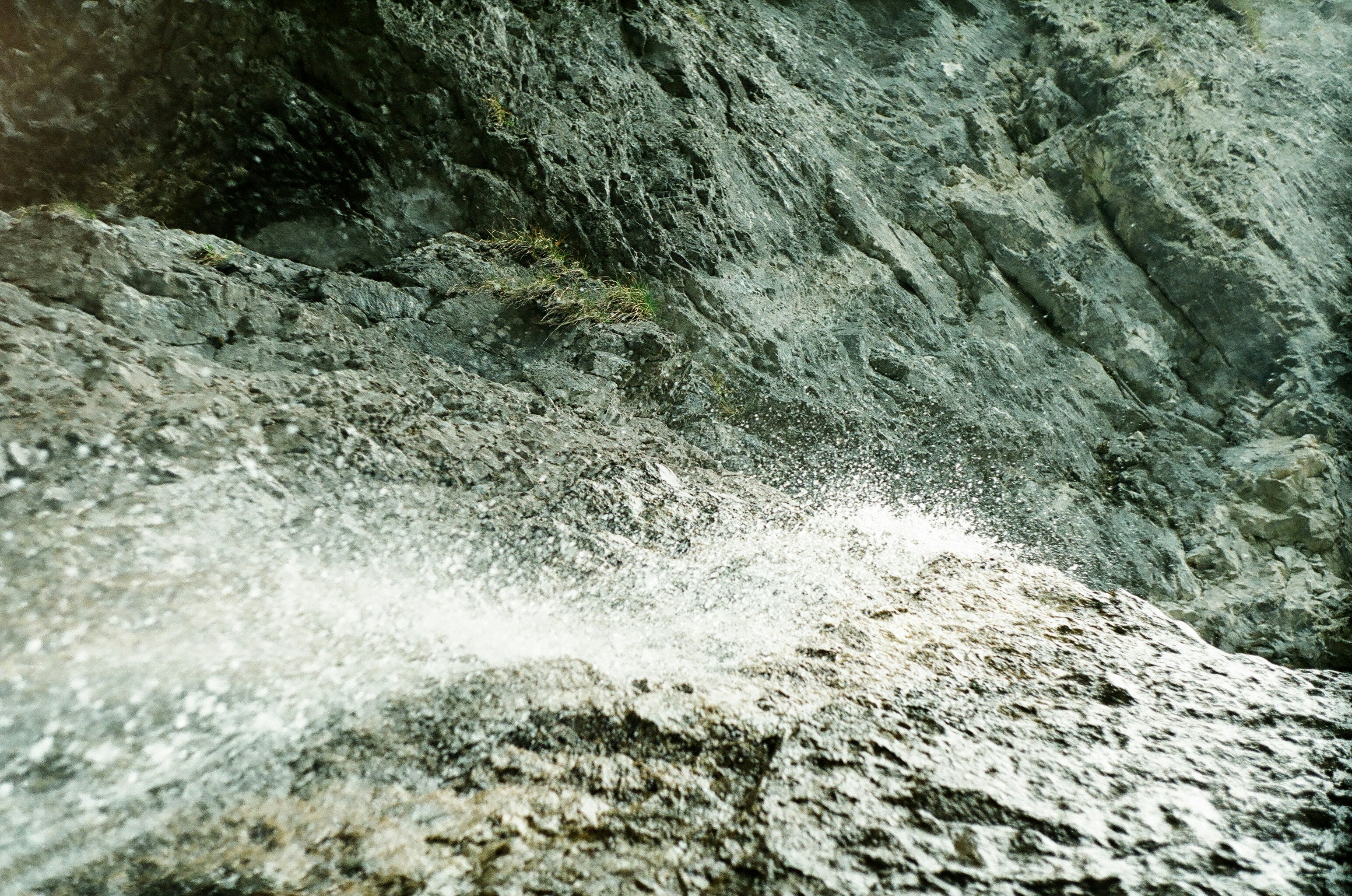 Photo by blajza