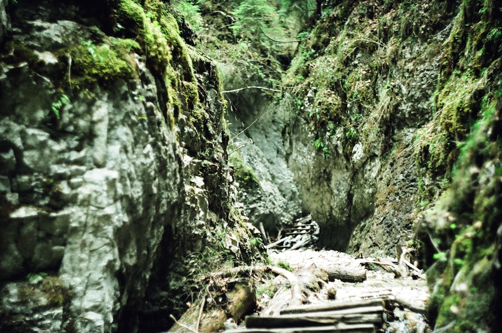 gray rocks on river between green moss covered rocks