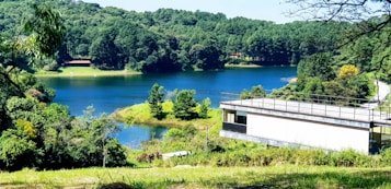 A serene landscape featuring a calm lake surrounded by lush green forests. The foreground shows a modern building with large windows and a flat roof, while the background displays densely packed trees and clear blue water reflecting the sky.