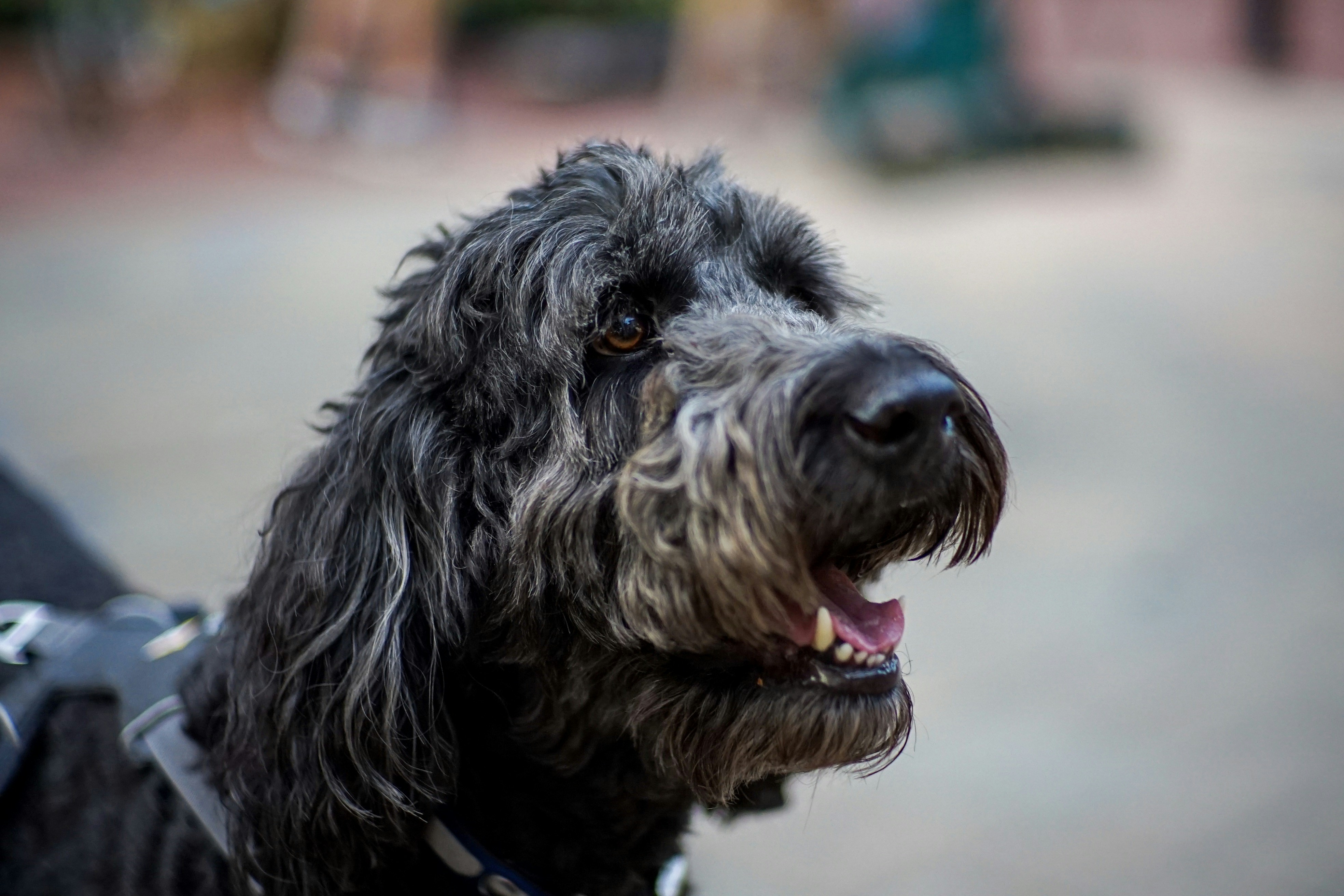 Photo by itworkonline