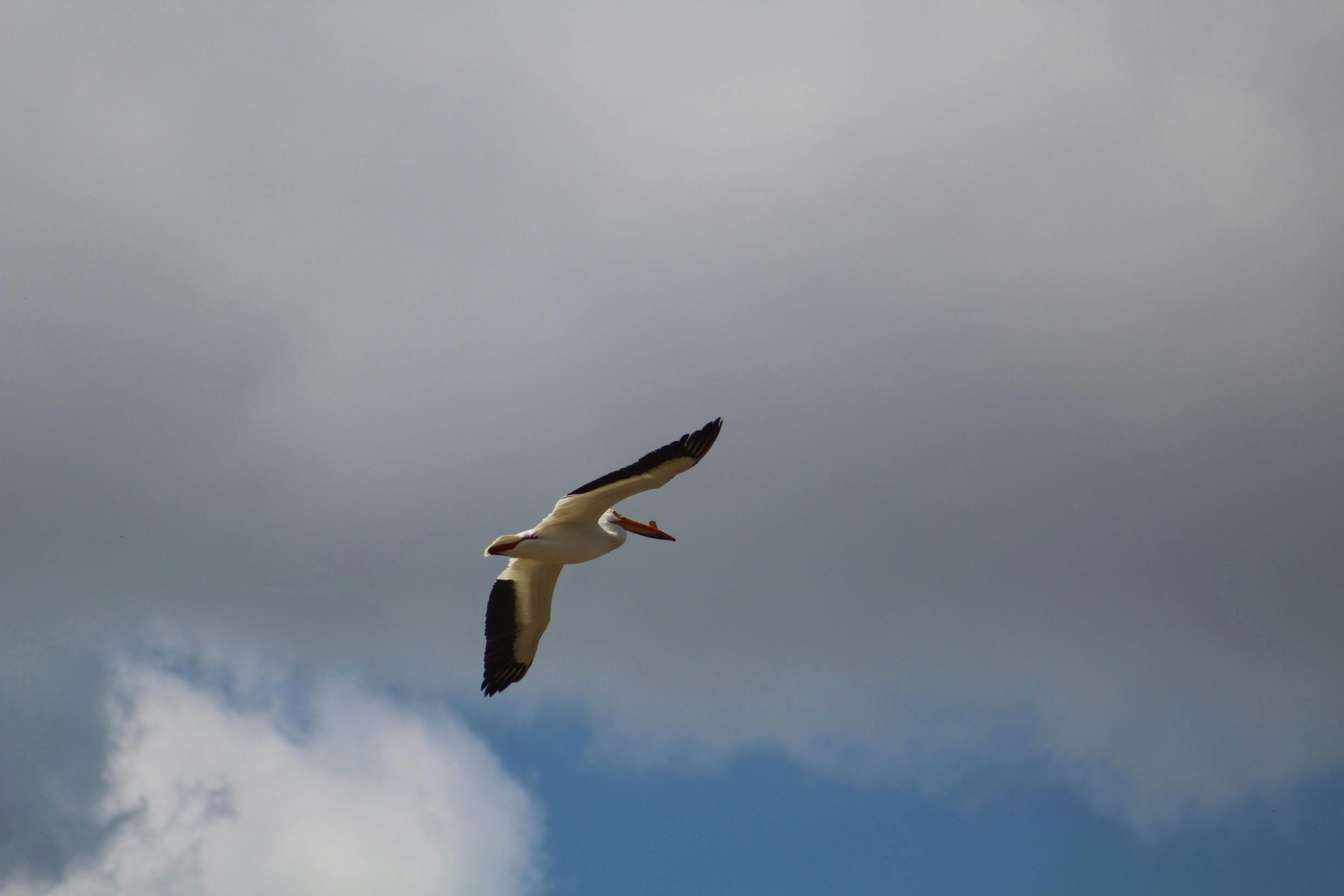 Photo by joshua_hoehne