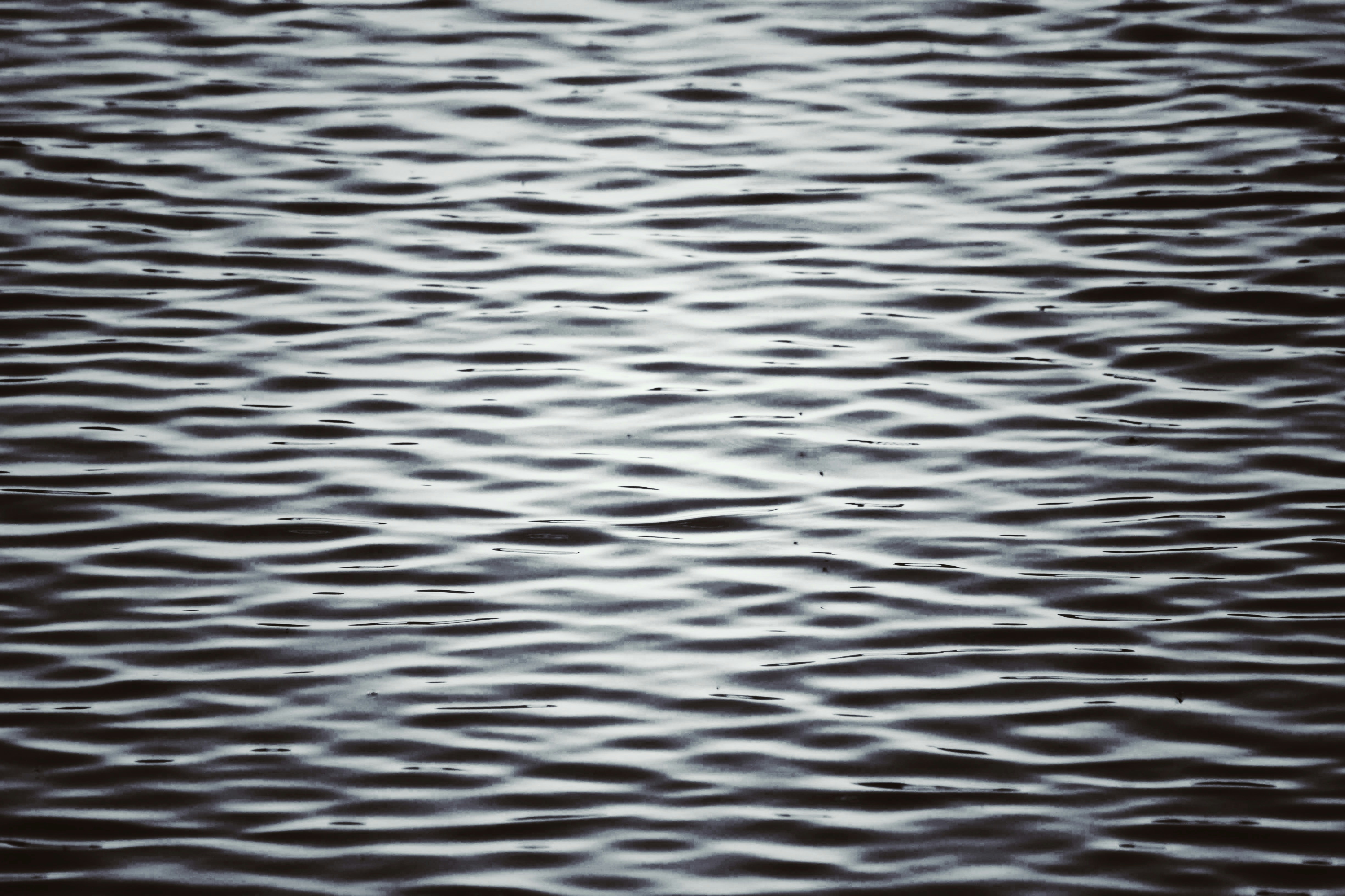 Photo by joshua_hoehne