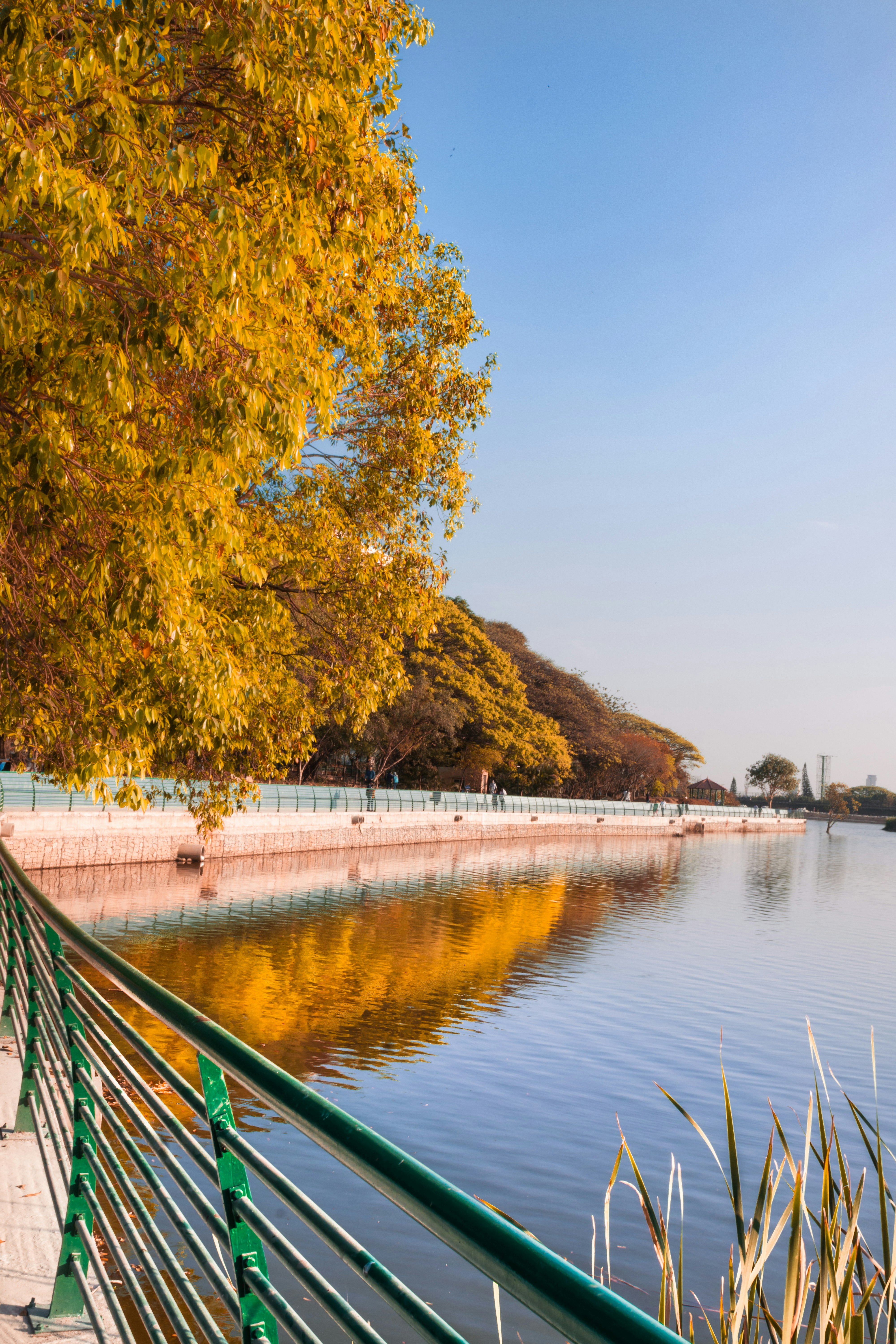 Photo by _clicksbyayush_