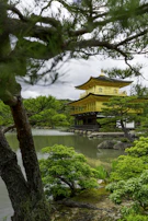 The golden pavilion shimmering in the sunlight, framed by lush greenery and a serene pond.