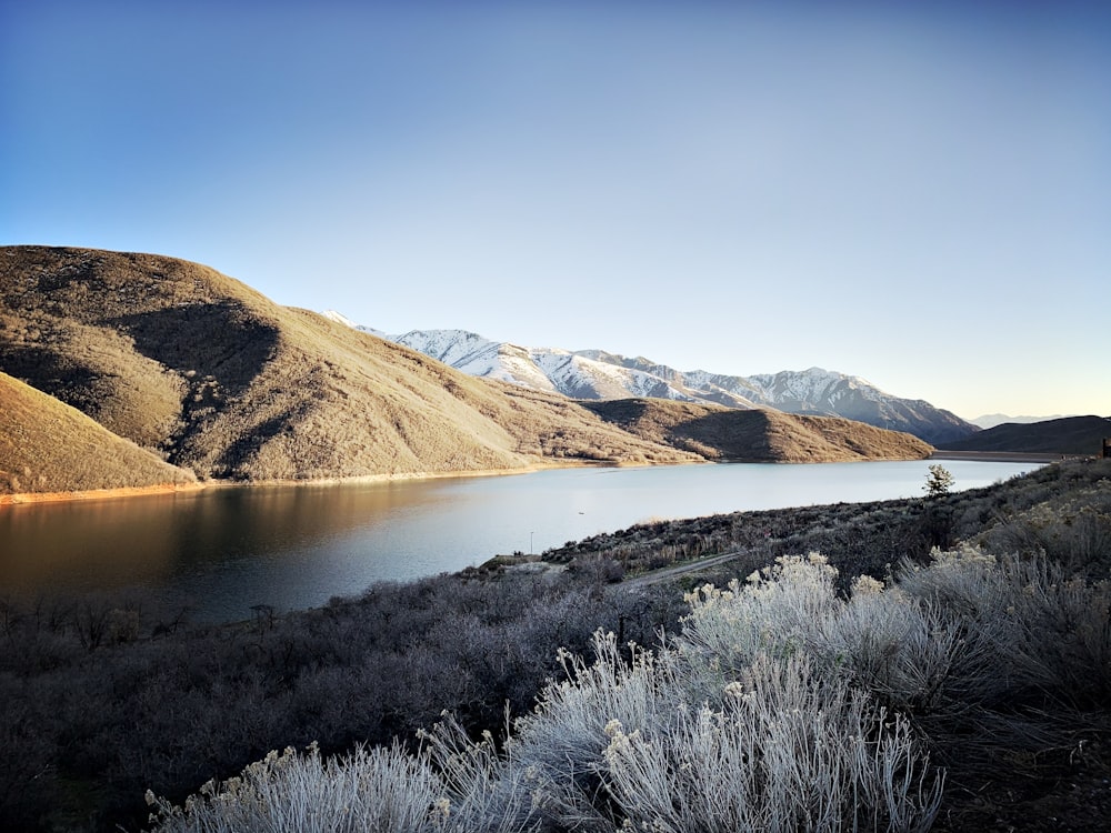 brown and green mountains near body of water during daytime