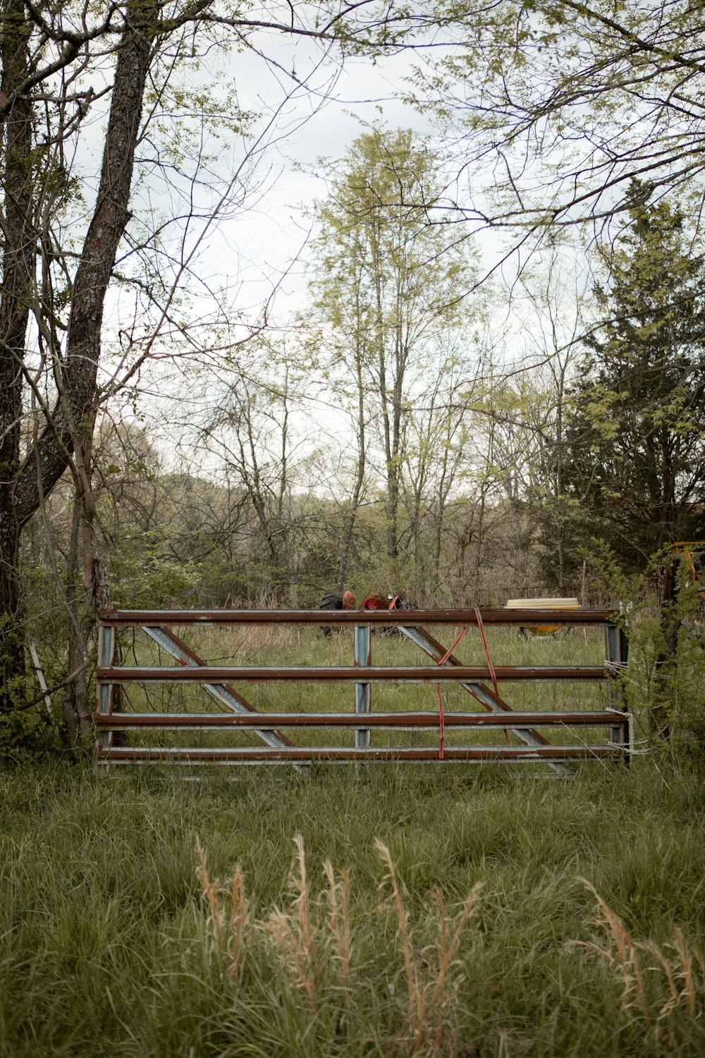 brown wooden fence near green trees during daytime