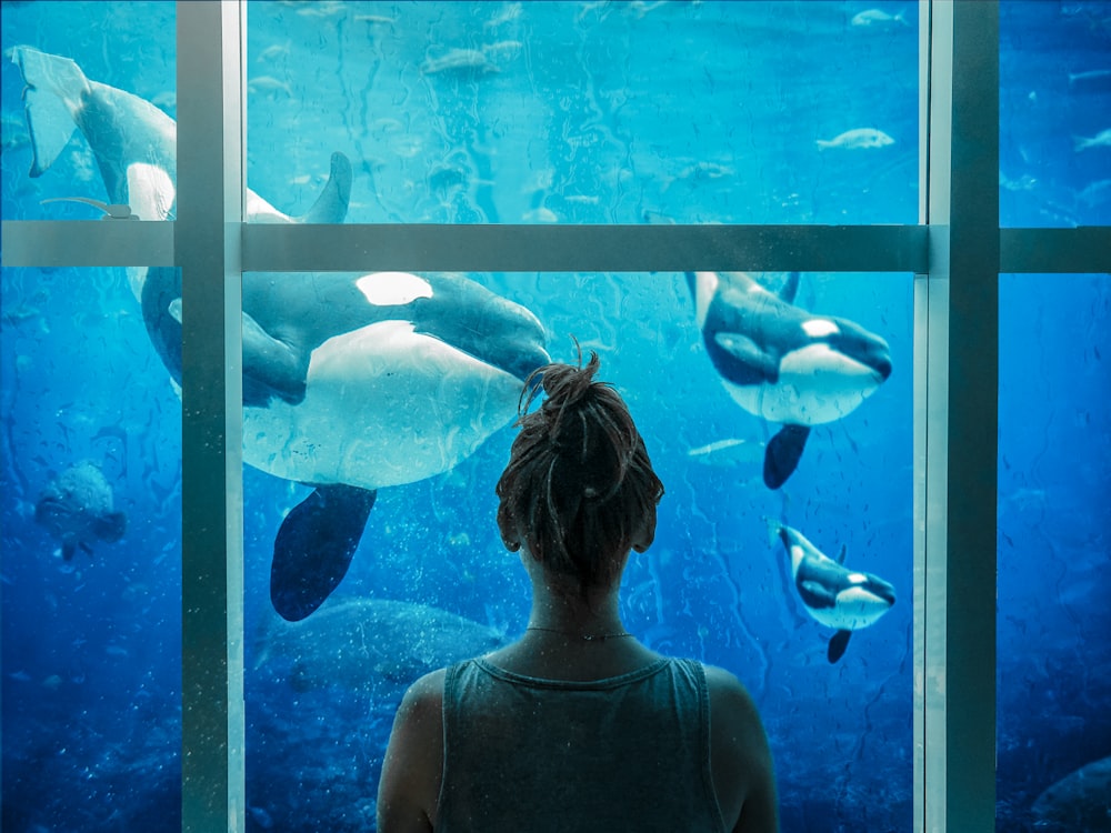 woman in black tank top looking at the aquarium