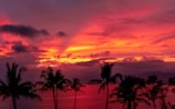 Vibrant sunset casting warm hues over palm trees and calm ocean waves.
